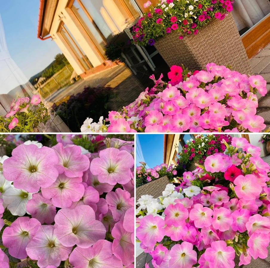Gold Horse Vendeghaz Hotel ซิลวาชวาร็อด ภายนอก รูปภาพ
