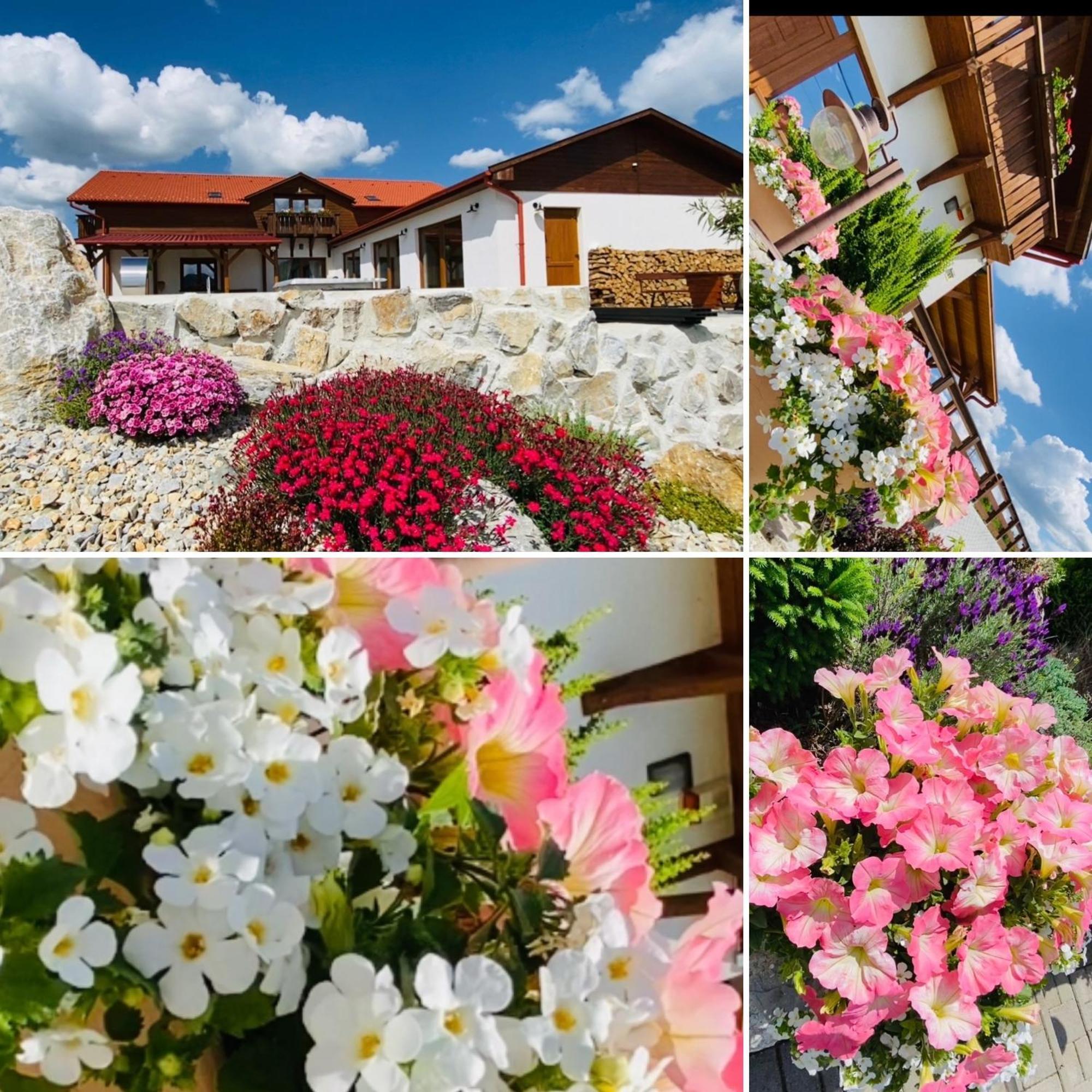 Gold Horse Vendeghaz Hotel ซิลวาชวาร็อด ภายนอก รูปภาพ