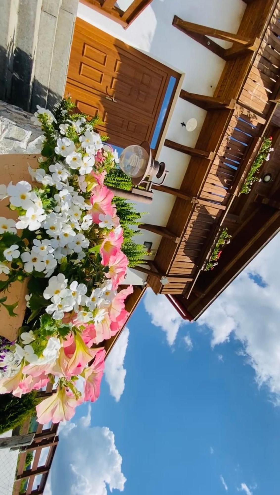 Gold Horse Vendeghaz Hotel ซิลวาชวาร็อด ภายนอก รูปภาพ
